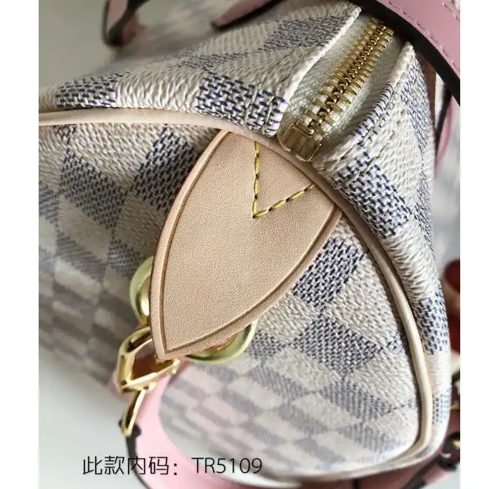 LV 19T1L0105 Bags 0310